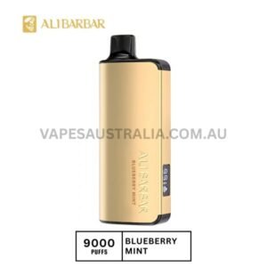 alibarbar ingot 9000 puffs blueberry mint 600x600 1.jpg